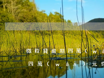 微粒貸逾期四萬(wàn)，警惕！微粒貸逾期四萬(wàn)元，你可能面臨的后果