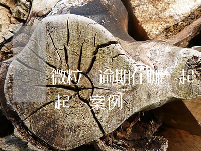 微粒貸逾期在哪兒起訴 微粒貸逾期120天起訴案例