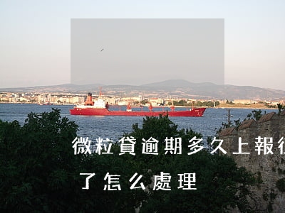 微粒貸逾期多久上報征信(微粒貸逾期上征信了怎么處理)