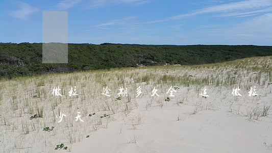 微粒貸逾期多久全額追繳(微粒貸可以逾期多少天還)
