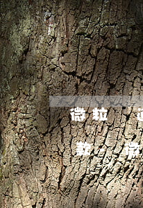 微粒貸逾期多久可以協(xié)商延期還款-微粒貸逾期多久會(huì)要求還全款
