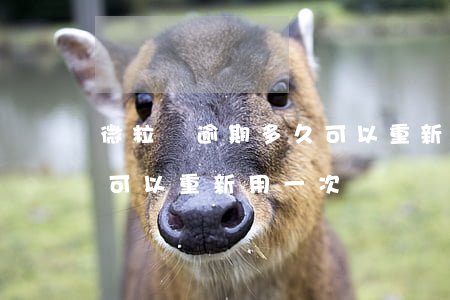 微粒貸逾期多久可以重新用(微粒貸逾期多久可以重新用一次)