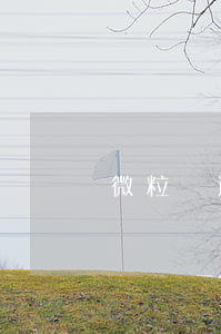 微粒貸逾期多久怎么處理