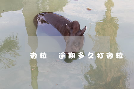 微粒貸逾期多久打(微粒貸能逾期么)