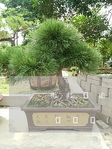 微粒貸逾期多久會(huì)被上門(微粒貸違約會(huì)上門嗎?)