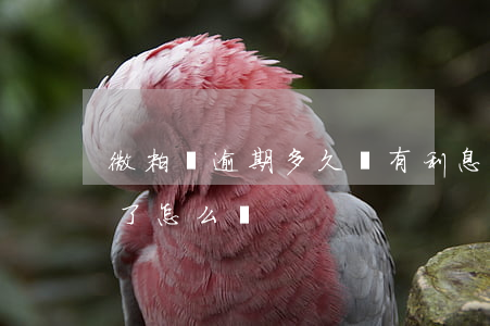 微粒貸逾期多久會有利息(微粒貸逾期時間長了怎么辦)