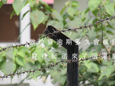 微粒貸逾期多久會被發(fā)律師函(微粒貸律師函來了后果嚴重嗎)