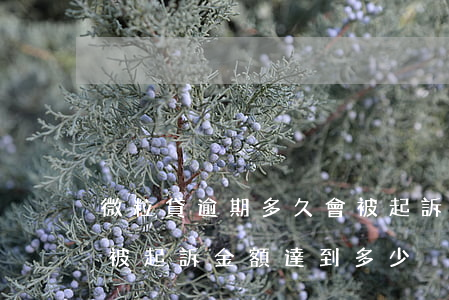 微粒貸逾期多久會被起訴(微粒貸逾期多久會被起訴,金額達到多少?)