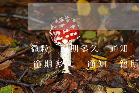 微粒貸逾期多久會通知戶籍所在地-微粒貸逾期多久會通知戶籍所在地的人