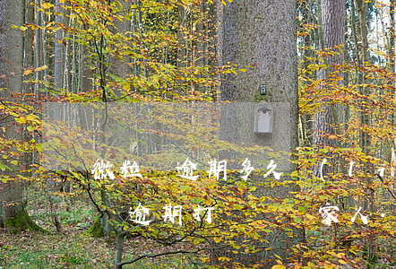 微粒貸逾期多久聯(lián)系親人(微粒貸逾期打電話給家人.我該怎么辦呢)