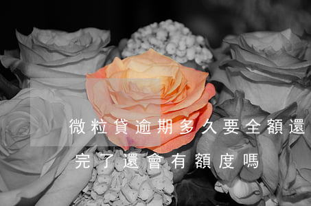 微粒貸逾期多久要全額還(微粒貸多次逾期 還完了還會有額度嗎)