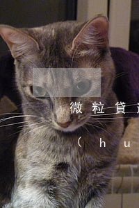 微粒貸逾期多久要還全額(微粒貸逾期幾天會(huì)被要求還全款嗎)