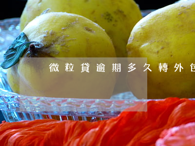 微粒貸逾期多久轉外包追收
