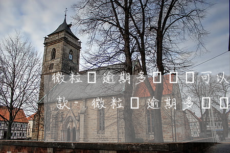 微粒貸逾期多長時間可以協(xié)商還款-微粒貸逾期多長時間會要求全額還款