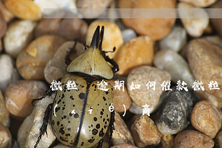 微粒貸逾期如何催款(微粒貸逾期催款可以協(xié)商嗎)