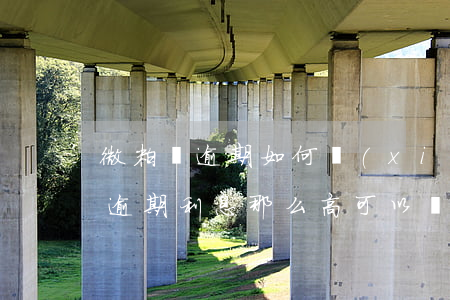 微粒貸逾期如何協(xié)商延期(微粒貸逾期利息那么高可以協(xié)商解決嗎)