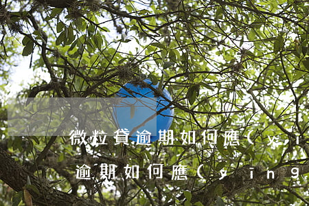 微粒貸逾期如何應(yīng)對-微粒貸逾期如何應(yīng)對法院起訴