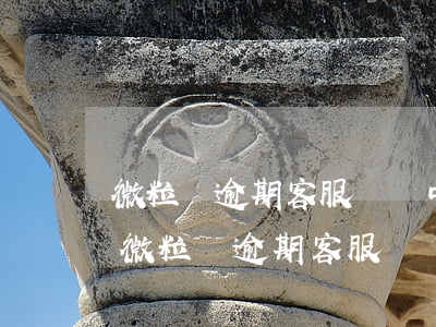 微粒貸逾期客服電話中侮辱謾罵怎么舉報-微粒貸逾期客服電話中侮辱謾罵怎么舉報