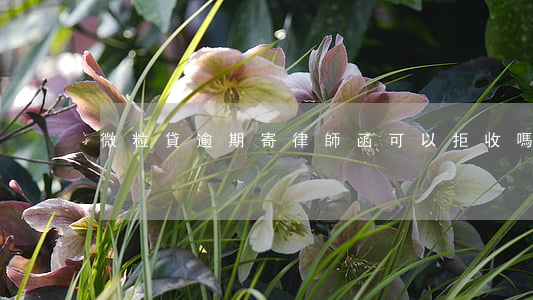 微粒貸逾期寄律師函可以拒收嗎-