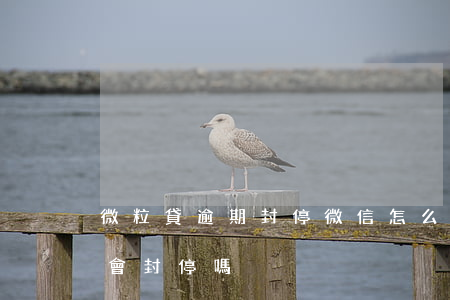 微粒貸逾期封停微信怎么辦-欠微粒貸微信會封停嗎?