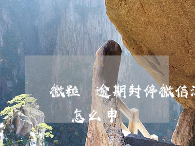 微粒貸逾期封停微信（江蘇微粒貸逾期停息掛賬怎么申請）