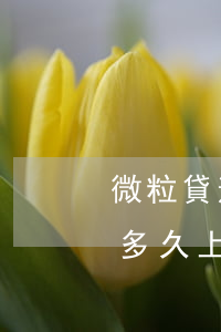 微粒貸逾期對微信有影響沒(微信微粒貸逾期多久上征信?后果有多嚴(yán)重?)