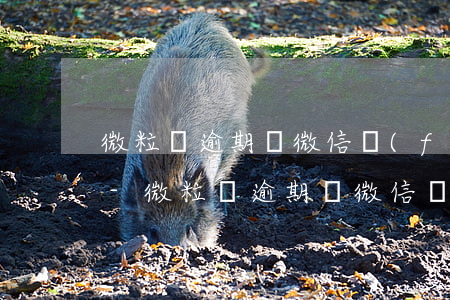 微粒貸逾期對微信發(fā)紅包有影響嗎-微粒貸逾期對微信發(fā)紅包有影響嗎安全嗎