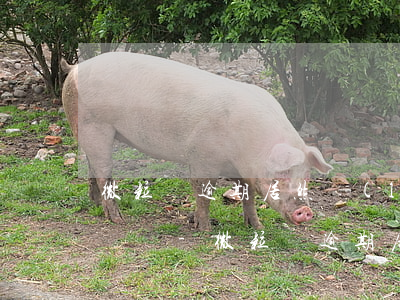 微粒貸逾期居然聯(lián)系微信好友電話-微粒貸逾期居然聯(lián)系微信好友電話怎么辦