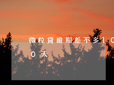 微粒貸逾期差不多100天(微粒貸逾期200天)