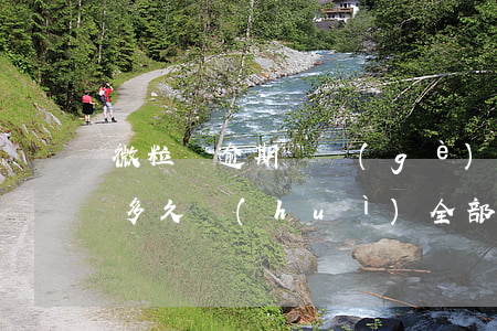 微粒貸逾期幾個(gè)月還款(微粒貸逾期多久會(huì)全部還款)