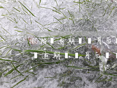 微粒貸逾期幾個月后來還款了,怎么辦-微粒貸逾期幾個月后來還款了 ,怎么辦