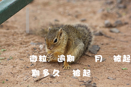 微粒貸逾期幾個月會被起訴嗎?（微粒貸一般逾期多久會被起訴）