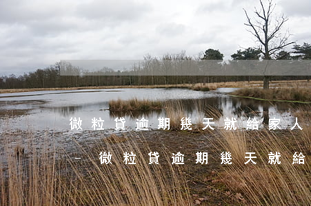 微粒貸逾期幾天就給家人發(fā)信息了-微粒貸逾期幾天就給家人發(fā)信息了怎么辦
