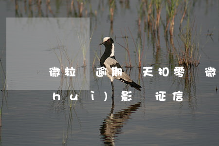 微粒貸逾期幾天扣零錢(微粒貸逾期幾天會(huì)影響征信嗎)