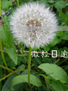 微粒貸逾期幾天會(huì)催收嗎