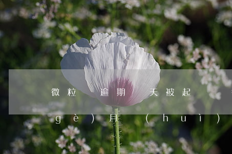 微粒貸逾期幾天被起訴嗎(微粒貸逾期幾個(gè)月會(huì)被起訴嗎?)