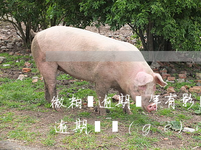 微粒貸逾期幾年有影響沒(méi)(微粒貸逾期幾個(gè)小時(shí)有沒(méi)有影響)