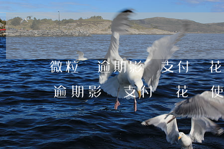 微粒貸逾期影響支付寶花唄使用嗎-微粒貸逾期影響支付寶花唄使用嗎安全嗎