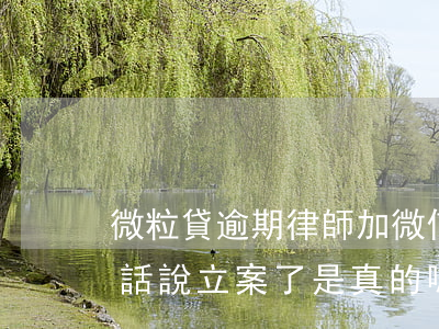 微粒貸逾期律師加微信(微粒貸逾期律師打電話說立案了是真的嗎)