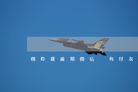 微粒貸逾期微信沒有好友(微信微粒貸沒有了)
