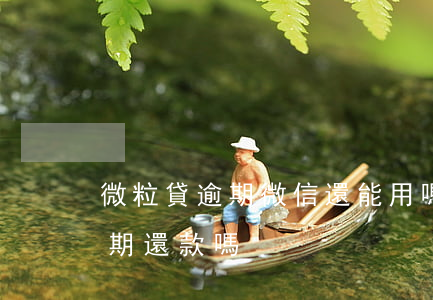 微粒貸逾期微信還能用嗎(微信微粒貸可以逾期還款嗎)
