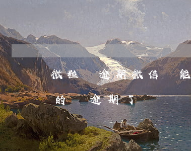 微粒貸逾期微信還能聊天嗎(微粒貸2天后還的說逾期了)