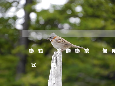 微粒貸逾期微信錢包用不了(微粒貸零錢包可以還款嗎)