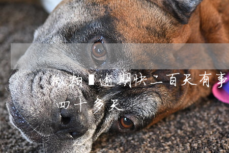 微粒貸逾期快二百天有事沒(微粒貸逾期一百四十多天)
