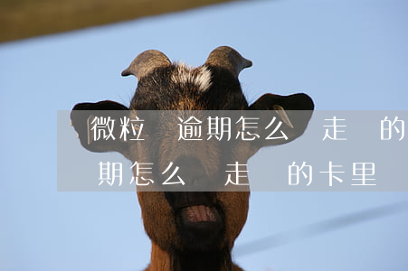 微粒貸逾期怎么劃走別的卡里錢-微粒貸逾期怎么劃走別的卡里錢呢