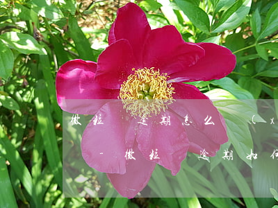 微粒貸逾期怎么協(xié)商才能成功償還-微粒貸逾期如何協(xié)調(diào)