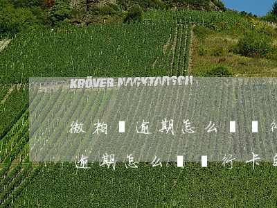 微粒貸逾期怎么從銀行卡自動扣款-微粒貸逾期怎么從銀行卡自動扣款了