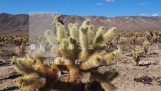 微粒貸逾期怎么應(yīng)對催收(微粒貸逾期催收已經(jīng)影響到家庭打什么電話進行投訴)