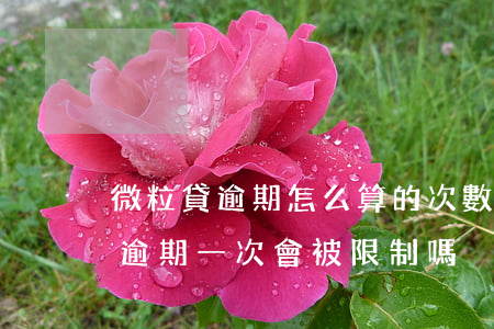 微粒貸逾期怎么算的次數(shù)(微粒貸逾期一次會被限制嗎)