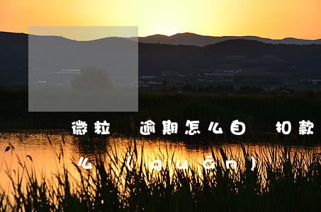 微粒貸逾期怎么自動扣款(微粒貸自動扣款怎么關(guān)閉)